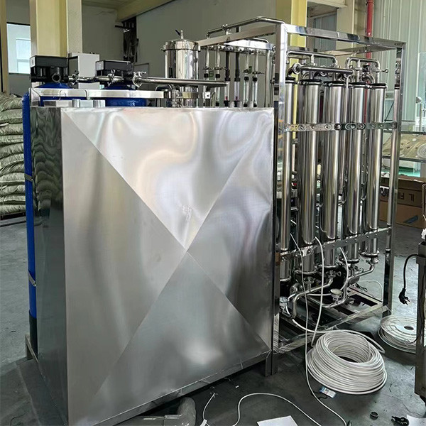 Professional 500lph double-stage RO EDI Water Purification Equipment Environment Friendly