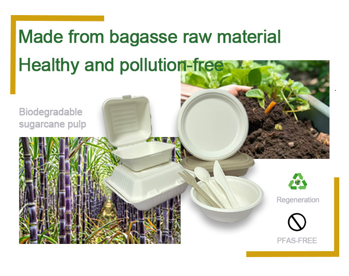 Eco Friendly Biodegradable Sugarcane Bowl Dish Paper Tableware Manufacture