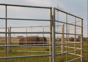 China 6 rails Galvanized 6ft Livestock Fence Panels wholesale
