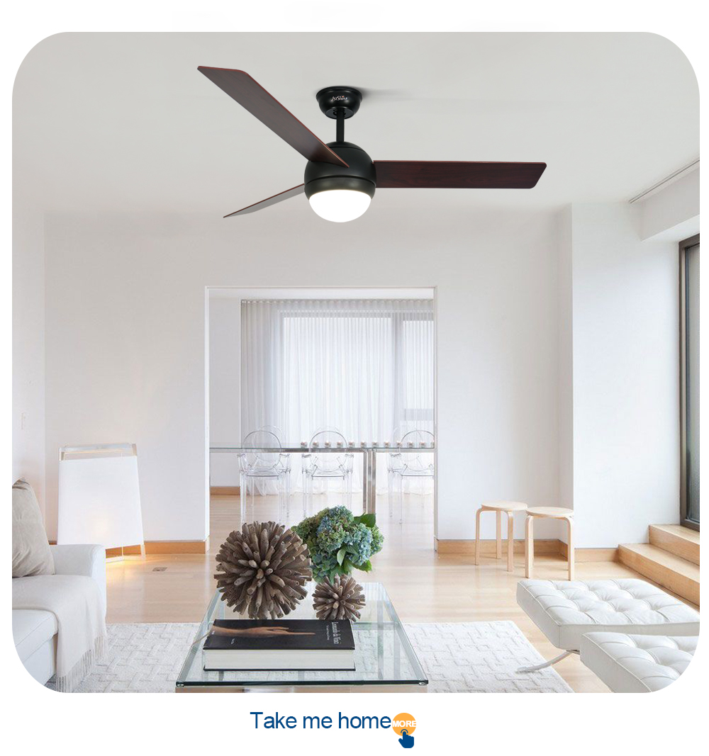 ceiling fan