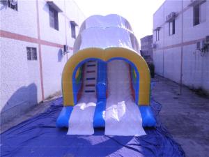 China WaveInflatable Slide with Roof (CYSL-60) wholesale