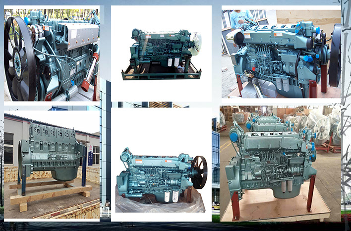 Discount High Power New Sinotruk HOWO Truck Diesel Engine