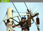 35kv - 500kv Wind Bird Repellent Devices , High Speed Bearings Bird Deterrents