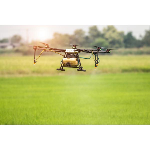 Enzymatic Acid Fertilizer Powder Plant Origin Amino Acid 80% Agriculture Grade