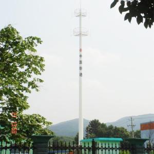 China Microwave Mobile Telecom Monopole Imitated Date Palm Tree wholesale