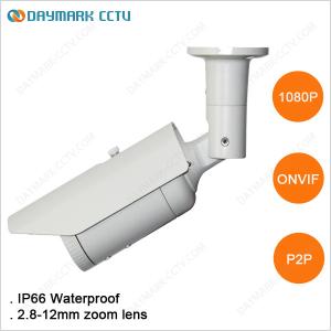 China Full hd 1080p 30fps outdoor weatherproof ip camera surveillance wholesale