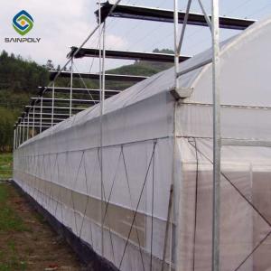 China Agriculture Planting Large Plastic Film Multi Span Greenhouse 5.3m wholesale