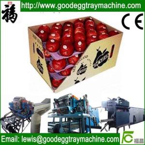 China Fruit Tray Production Line wholesale