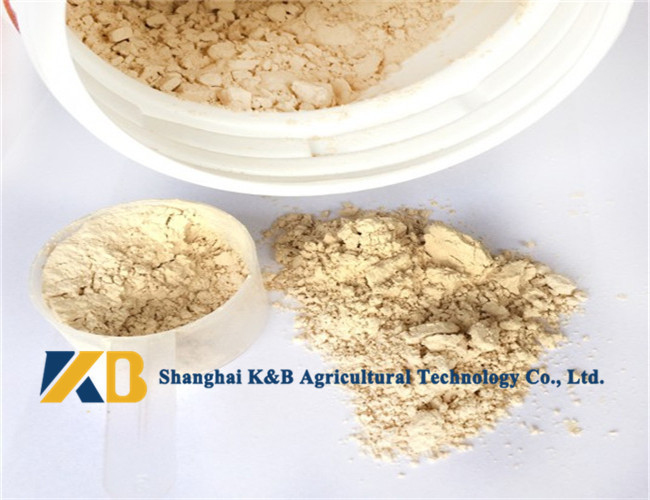 Pure Brown Rice Protein Products / Rice Based Protein Powder For Animal Feed