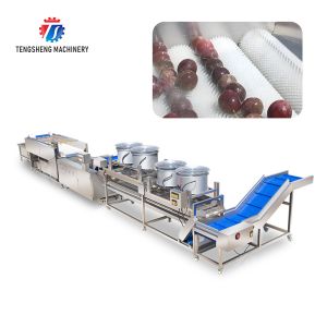 Revolutionize Your Production Process with Our Fruit And Vegetable Processing