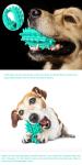 Puzzle Game Cactus TPR Dog Teeth Cleaning Cute Pet Toys