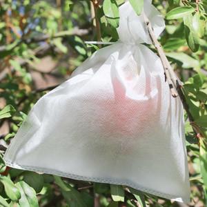 China ISO14000 High Tension Agriculture Non Woven Fabric Anti Mildew 300g/M2 wholesale