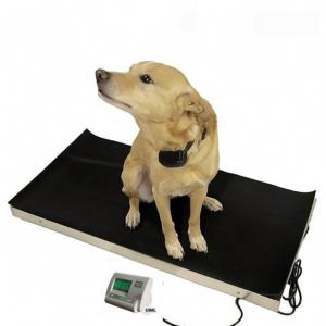 China LED 60kg Precision Animal Digital Weight Scale wholesale