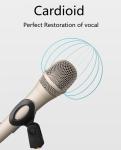 Online Teaching Studio Condenser Microphone 48v 140dB SPL