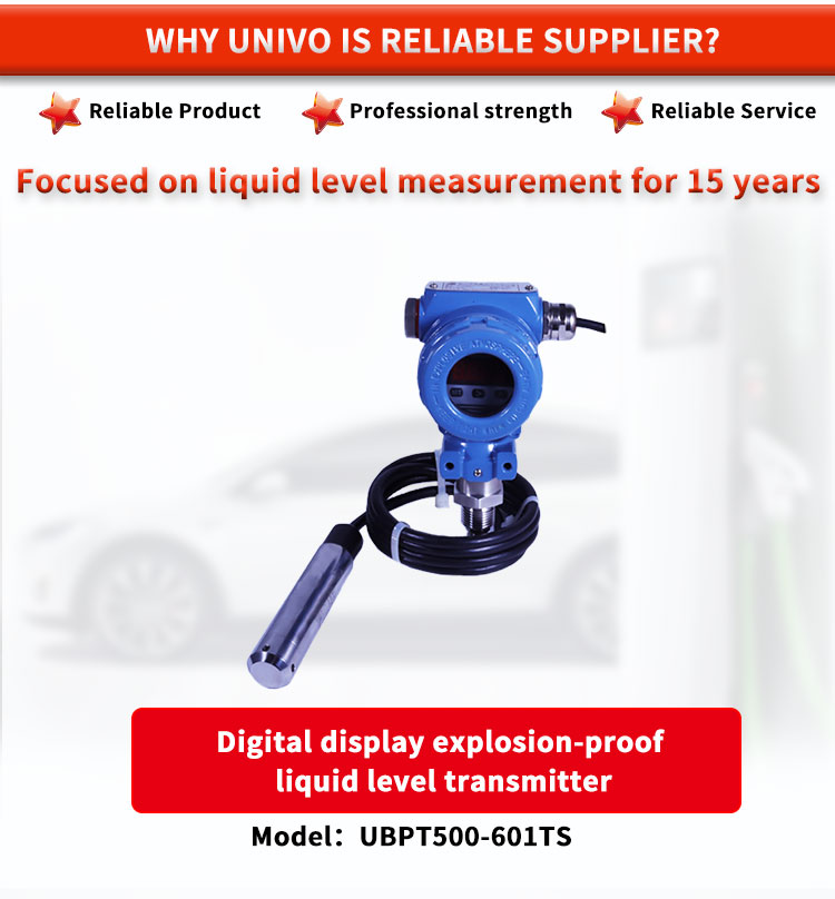 UBPT500-601TSY Explosion Proof Level Gauge For Safe And Liquid Level Monitoring