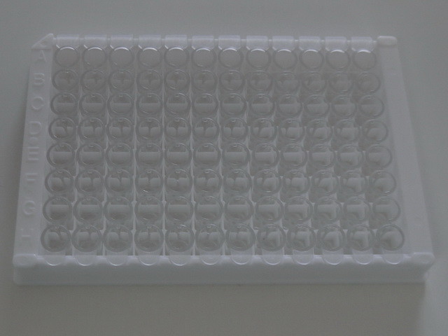 Easy-to- TB-IGRA ELISA Test Kit with Long Shelf Life and 2C-8C Preservation Method