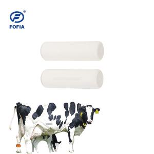 China Professional Ceramic Rumen Bolus Tag 134.2khz For Animal Manegement wholesale