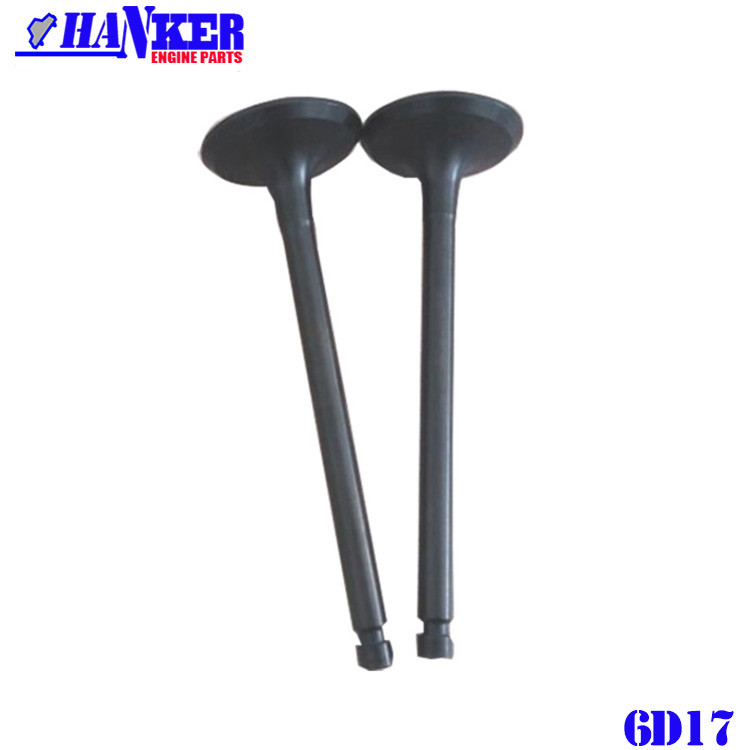 6D17 Intake Valve Exhaust Valve