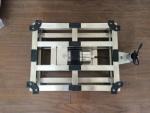 Weighing Electronic Scale BSAD-300kg Waterproof Industry SS Weighing Scale