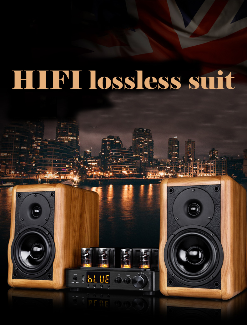 5 Inch Medium Bass Hi Fi Bookshelf Speakers For Indoor Home