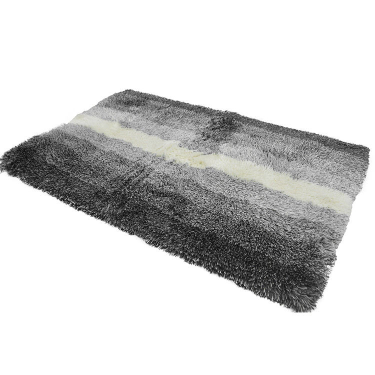 Home Use Anti Slip Shower Mat Tufted Microfiber Bathroom Rugs Easy Clean
