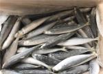 Healthy Gutted Shape 60g 80g Frozen Sea Fishing Bait
