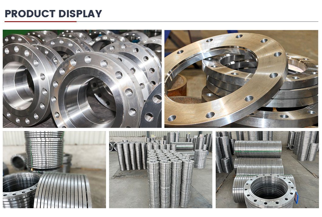 China Manufacture Forged Weld Neck Stainless Steel/Carbon Steel Flange