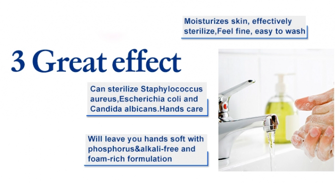 OEM Antibacterial Hand Sanitizer Customized Packing Hand Hygiene Disinfection