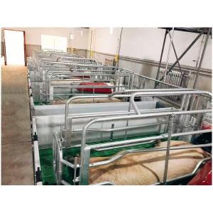 China Pig Farm Equipment Farrowing Cage For Sow Delivery piglets wholesale