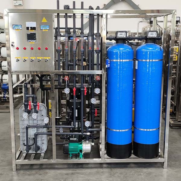 Ultrapure water Double-stage RO and EDI equipment 500LPH all-in-one Eco-friendly