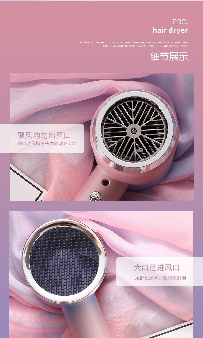 Advanced Blue Light Ion Technology Net Red Hair Dryer with High Power and Hot/Cold Air
