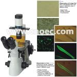 Laboratory Fluorescence Microscope