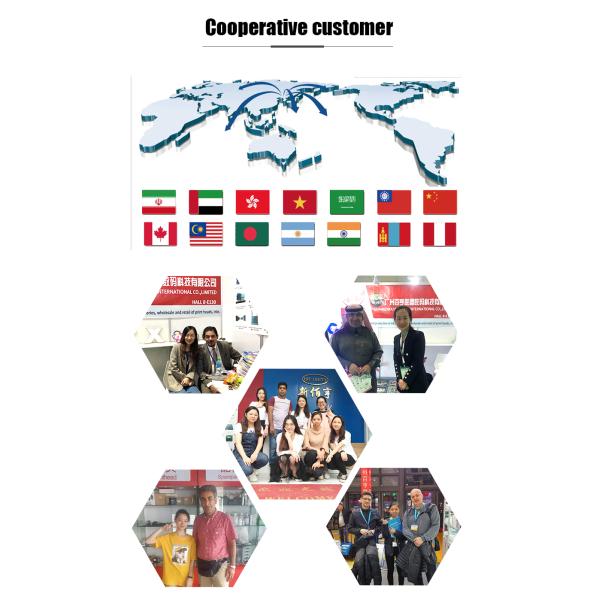 New Eco Solvent Printer with Xp600 Printhead CMKY Flex Banner Indoor Outdoor Advertisement Printing Machine