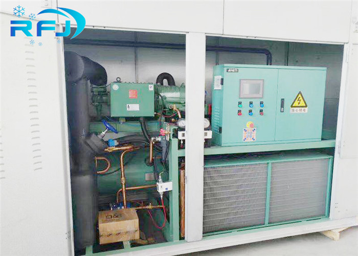 Quick Freezing Industrial Cold Room 220V / 380V Customized Size For Vegetables Fruits