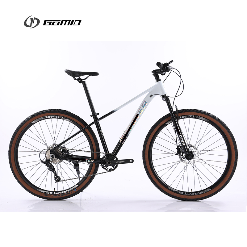 Aluminum Alloy Rim Mountain Bike Gear Cycle Hydraulic Groupset 10 12 Speed MTB Bike 29 Inch Bicycle Custom OEM Bicicleta