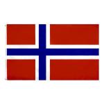 Digital Printing Knit Polyester Norway National Flag 3x5ft