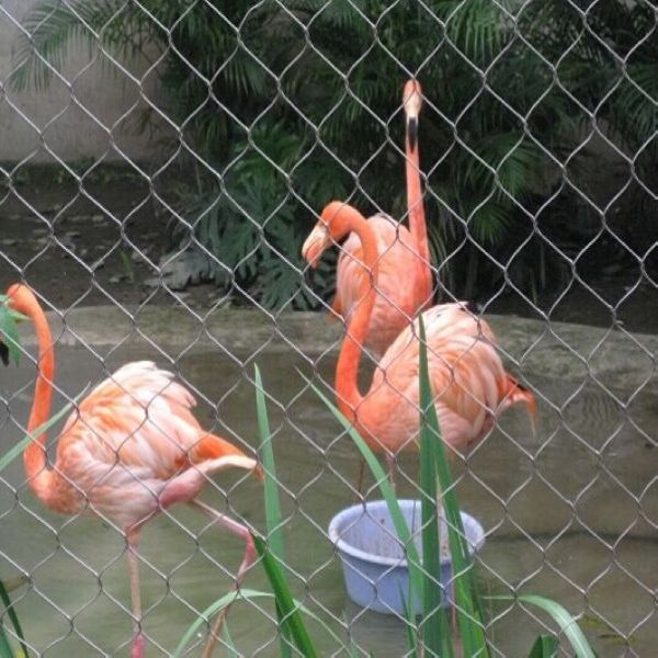 Inox Bird Netting