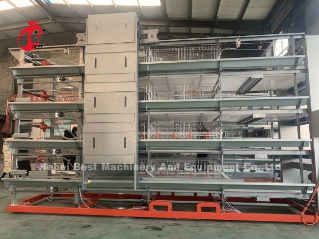 4 Tier H Type Chick Brooder Cage Pullet Chicks Cage System Doris Shi
