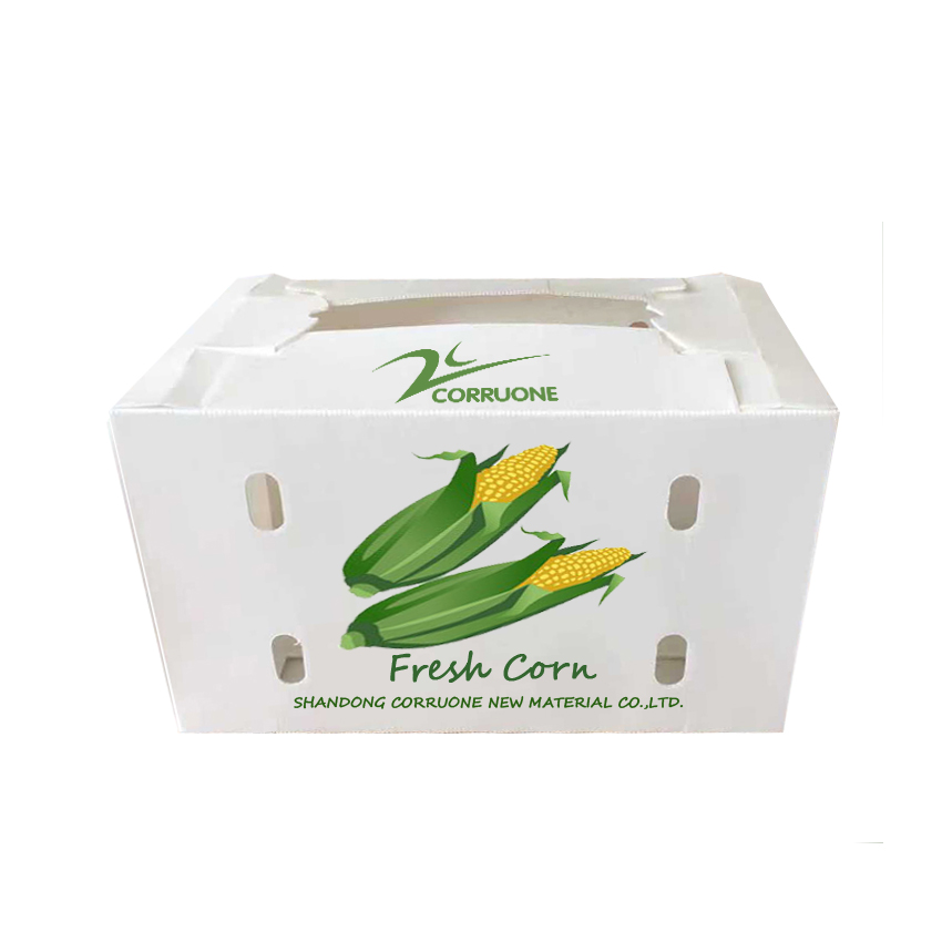 Black Corriflute Fruit Corrugated Boxes Corrugated Plastic Storage Containers