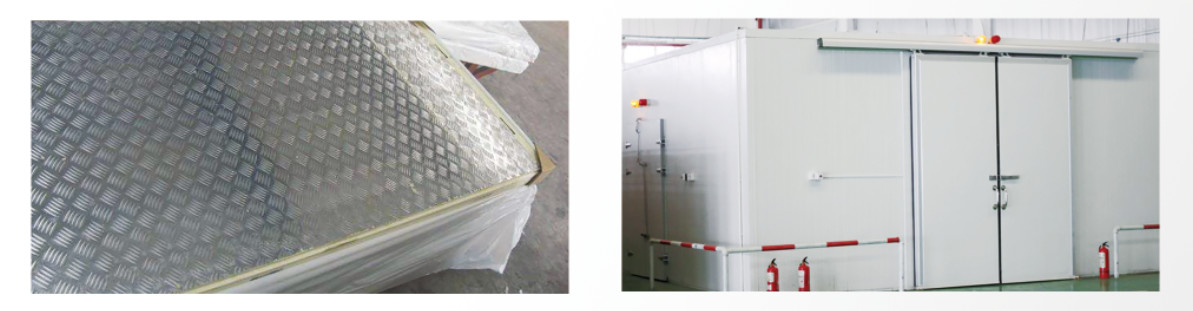 Icemedal Blast Walk In Freezer Room For Fish Meat Vegetable 220v/60hz/3ph