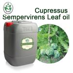 Cosmetic Grade Cupressus Sempervirens Essential Oil Natural