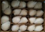 Fresh 200-300g Chinese Ya Pears Sweet Honey Like Flavor