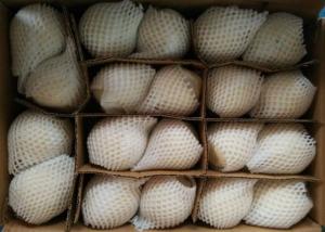 China HACCP White Chinese Ya Pears wholesale