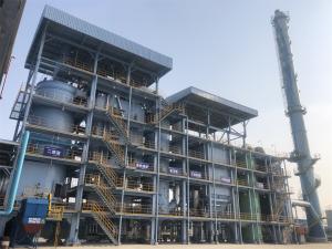 China Industrial Solid Hospital Medical Waste Incinerator Pets Animal Cremation wholesale