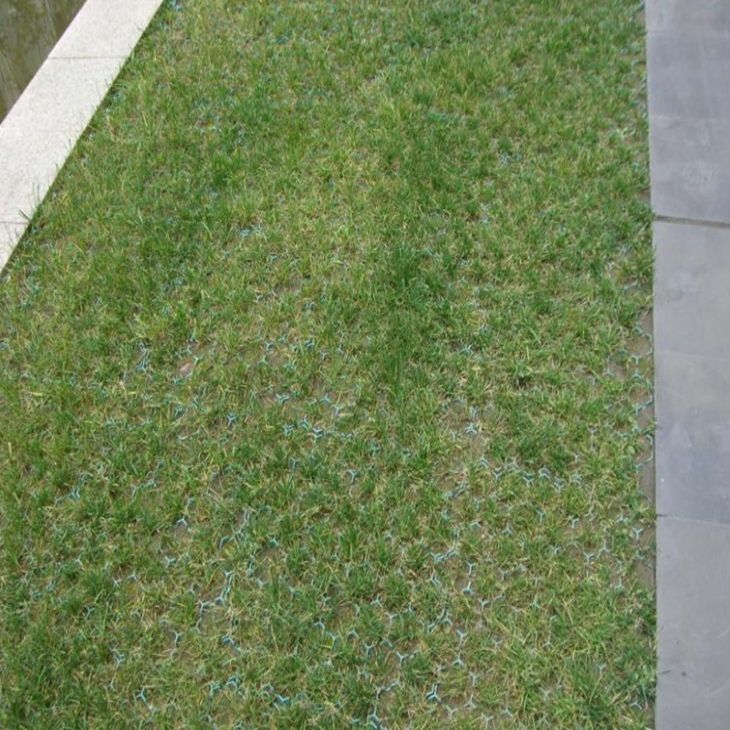 Black Green HDPE Plastic Planting for Parking Lot Grass Reinforcing in HDPE Material