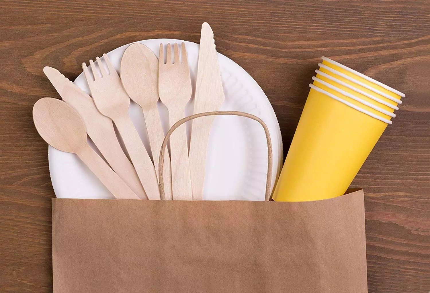 Birch Disposable Wooden Cutlery Set BBQ Eco Friendly Biodegradable Tableware