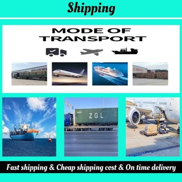 Extra Large Stainless Steel Cat Litter Box Smell Proof Litter Pan Sandbox Clean Products 60*39*40 Cm Acceptable OEM/ODM For Cats