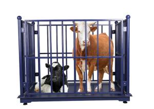China Portable 3T Livestock Weighing Scales Carbon Steel wholesale