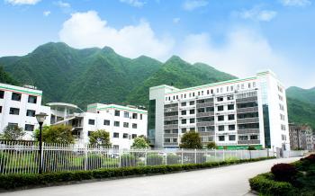 Hubei Yizhi Konjac Biotechnology Co., Ltd