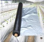 Width 20-2300mm Apple Tree Flective Agriculture Metalized CPP Film